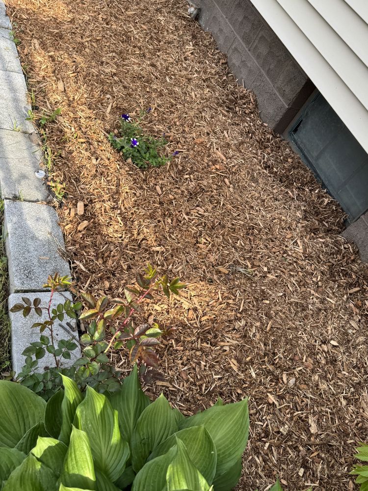 Landscaping Lawn Care for Daugherty's Tough Lawn Care in Essexville, MI