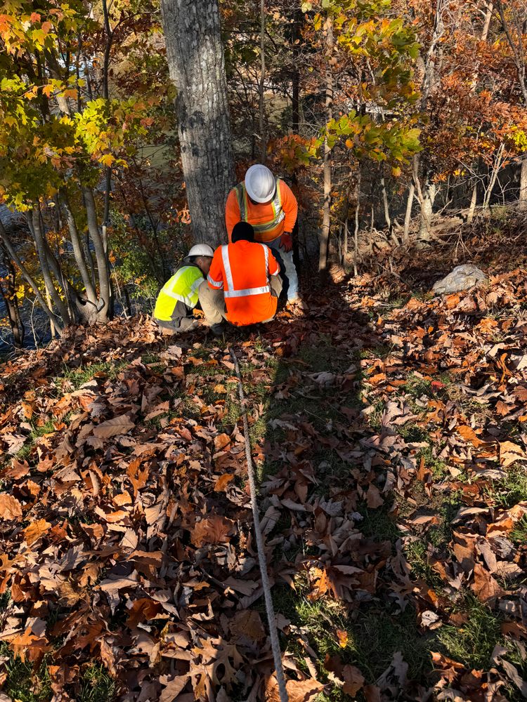 All Photos for Lux Arbor Tree Services in Harrisonburg, VA