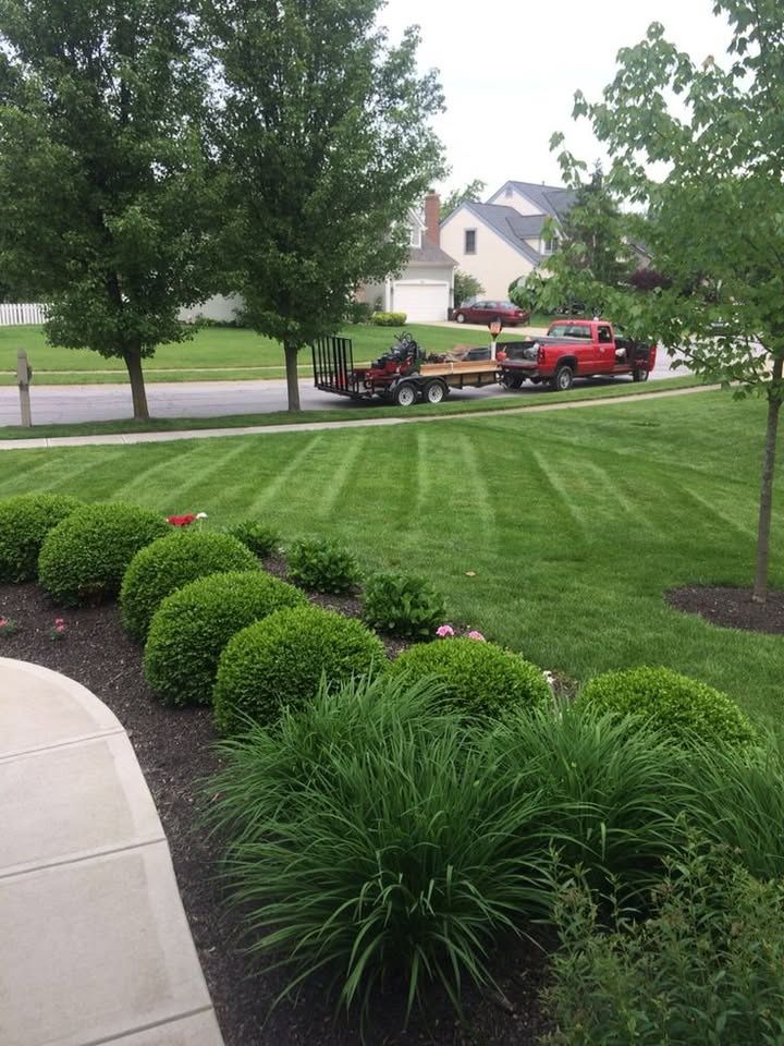 All Photos for Nunez Concrete & Landscape LLC in Tampa Heights, FL
