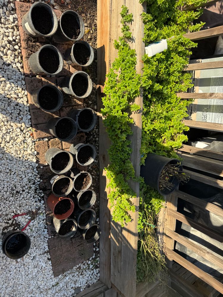 All Photos for CBA Landscaping in Hayward, CA