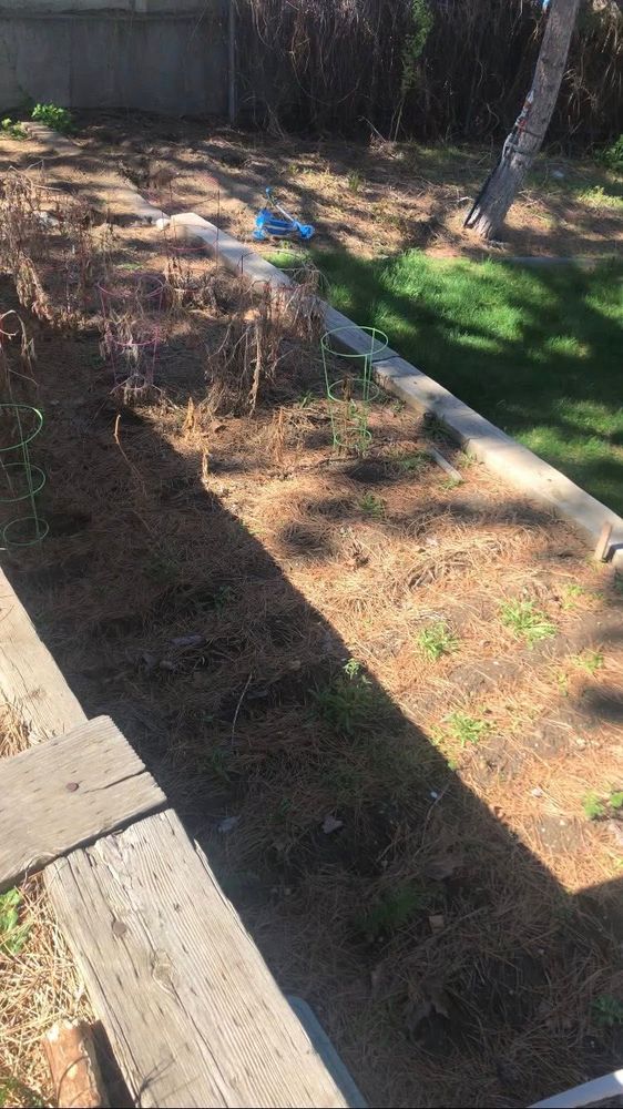 All Photos for Duncan Yard Services in Bountiful, UT