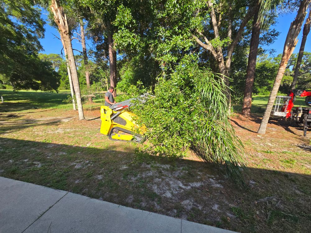 All Photos for Near Me Tree Service, Inc. in DeLand, FL