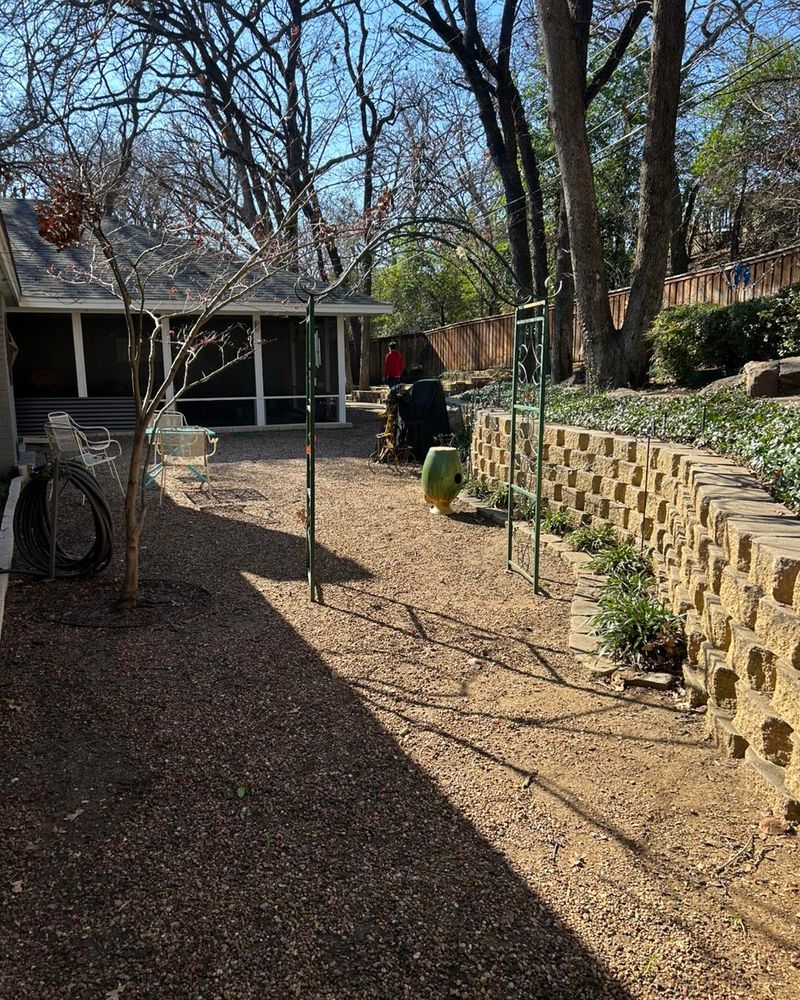 Enhance your home's privacy and beauty with our comprehensive yard maintenance service, focusing on cultivating and caring for lush privacy trees to create a serene and secluded outdoor environment. for Muniz Tree Service in North Richland Hills, TX