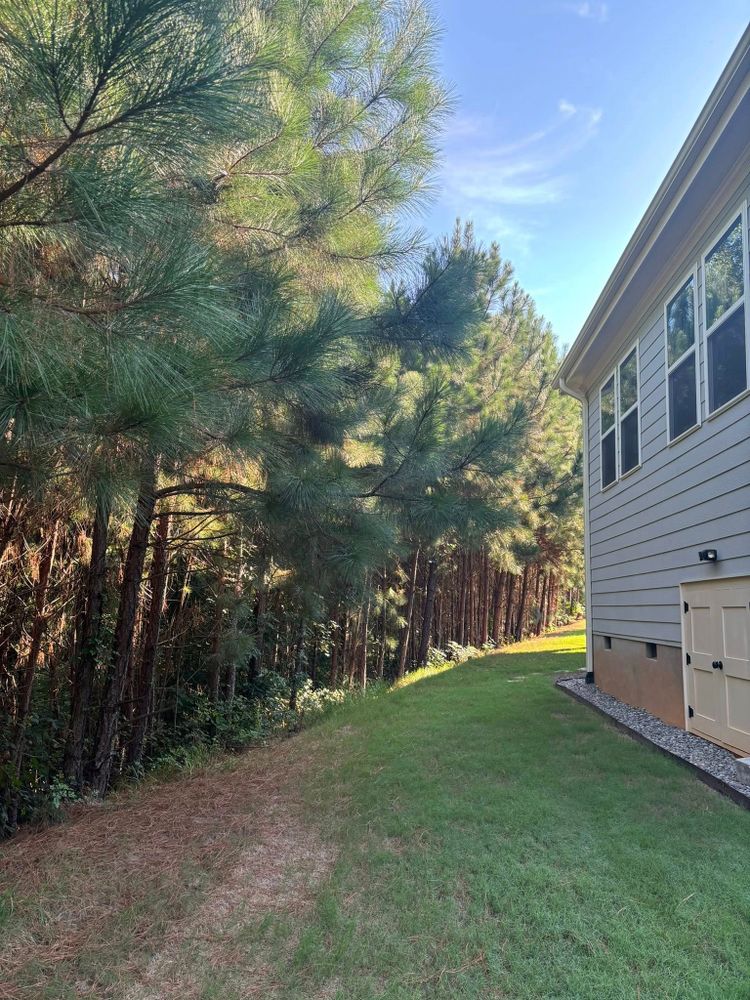 Tree Services for Total Tree Care in Erwin, North Carolina