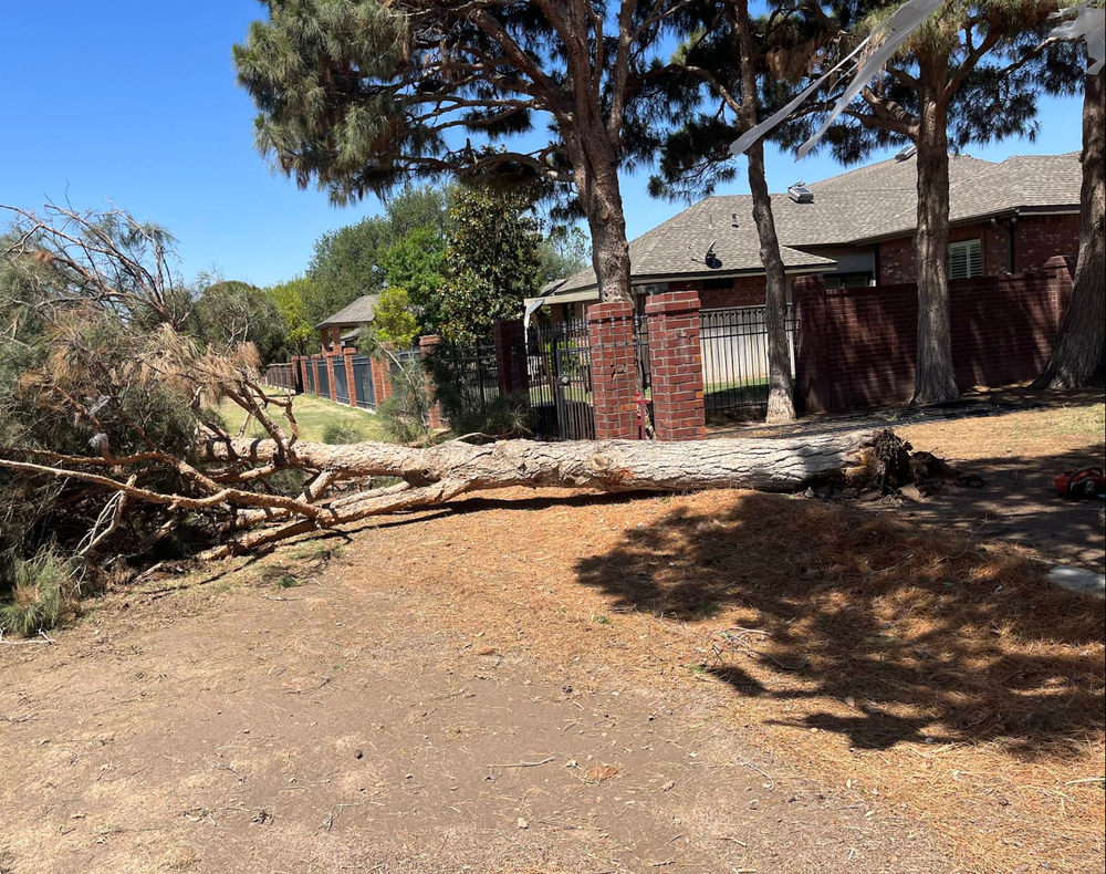 Our Tree Service offers expert care, including pruning, removal, and health assessments to ensure your trees enhance property aesthetics while maintaining safety and vitality. Trust our skilled team for reliable tree solutions. for Stone's Tree Services and Landscaping in Midland, TX