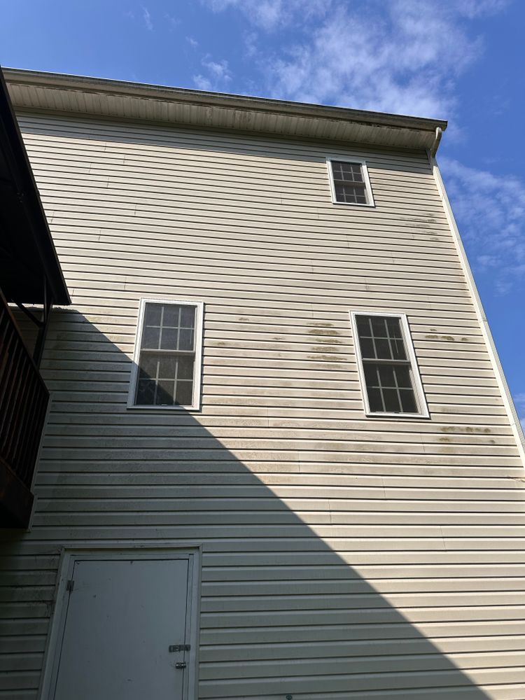 All Photos for LeafTide Solutions in Richmond, VA