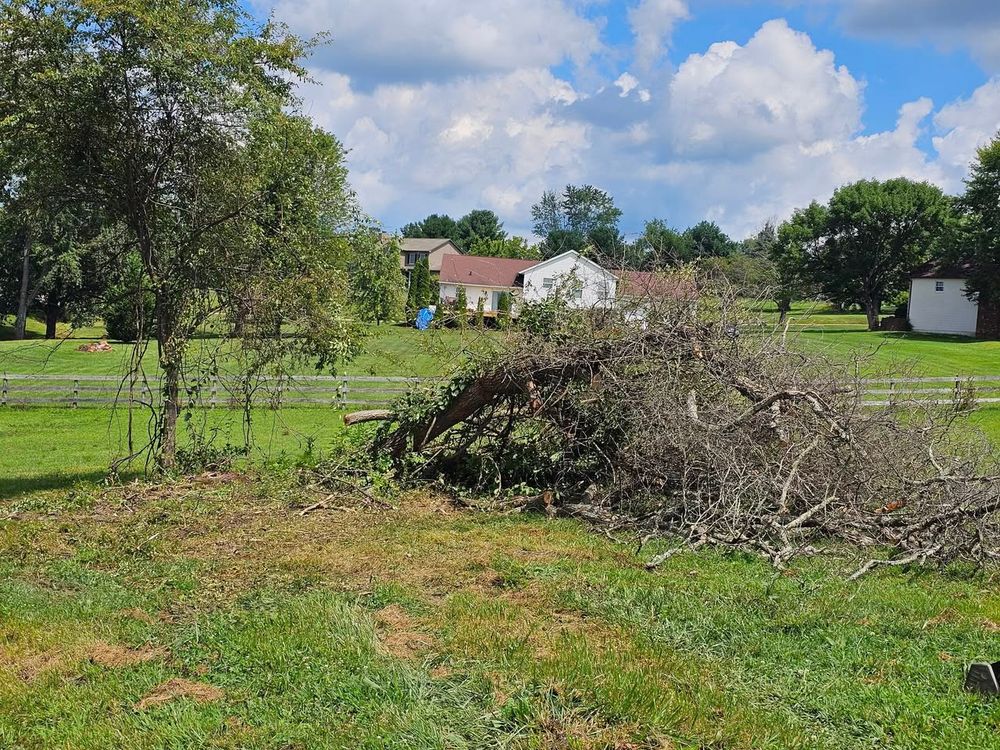 Our Brush Removal service ensures a tidy and safe property by clearing away unwanted undergrowth, complementing our expert tree removal offerings to maintain your landscape's beauty and health. for I and R Stump Grinding in Thornville, OH