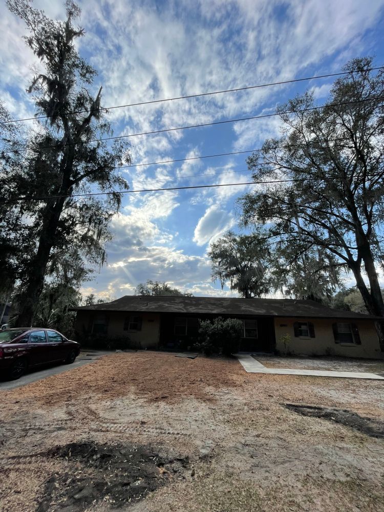 All Photos for Mr. Timber in Ocala, FL