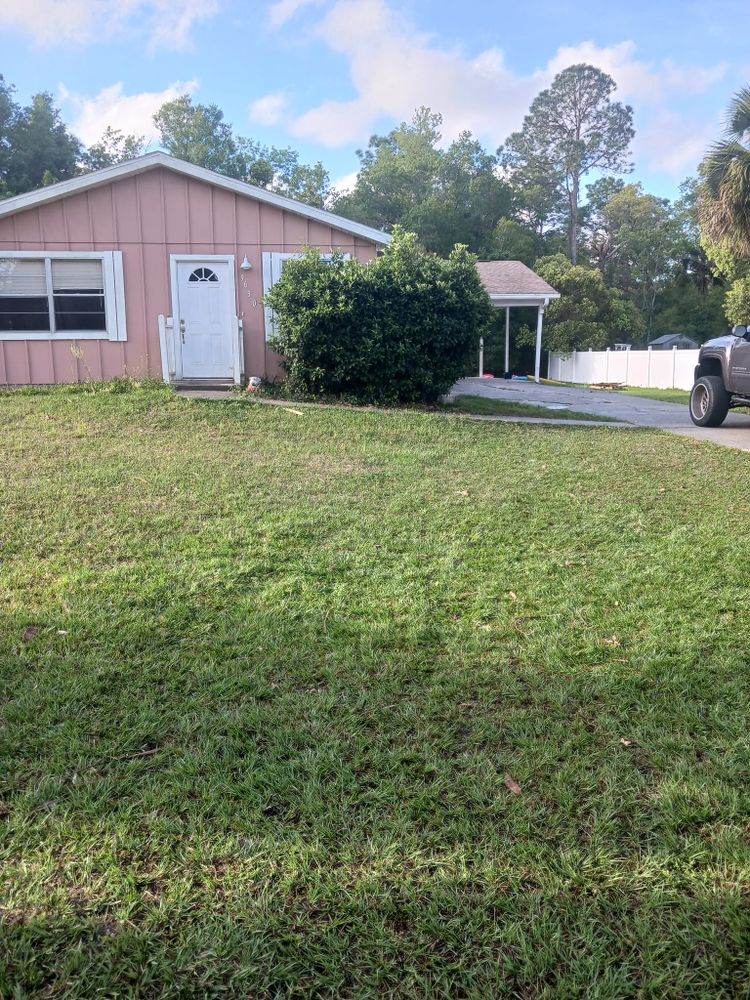 Our Roof Repair service offers expert solutions to address storm or tree-related damage, ensuring your home remains safe and weather-resistant with minimal disruption. Trust us for professional, reliable repair work. for O'Donnell Tree and Handyman Services in Pine Ridge, FL