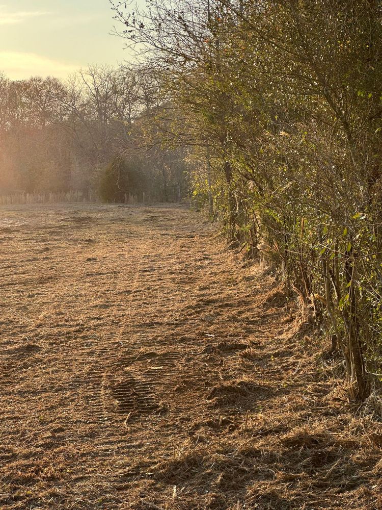 All Photos for White’s Land Maintenance in Milton,, FL