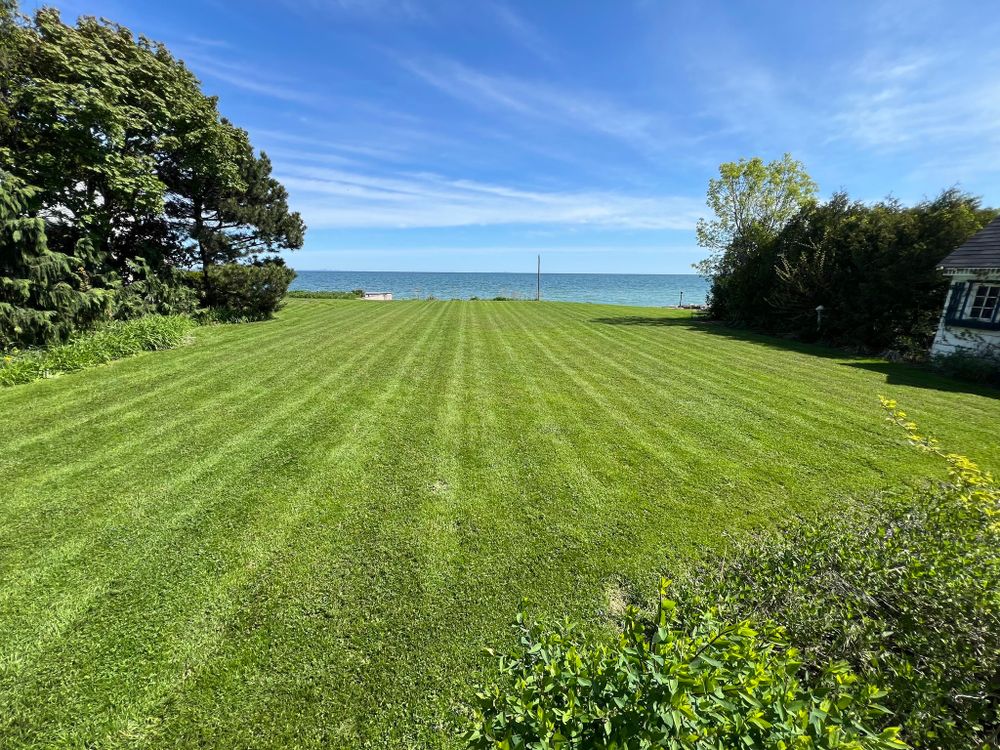 Landscaping  for CMN Exterior Maintenance in Hamilton, ON