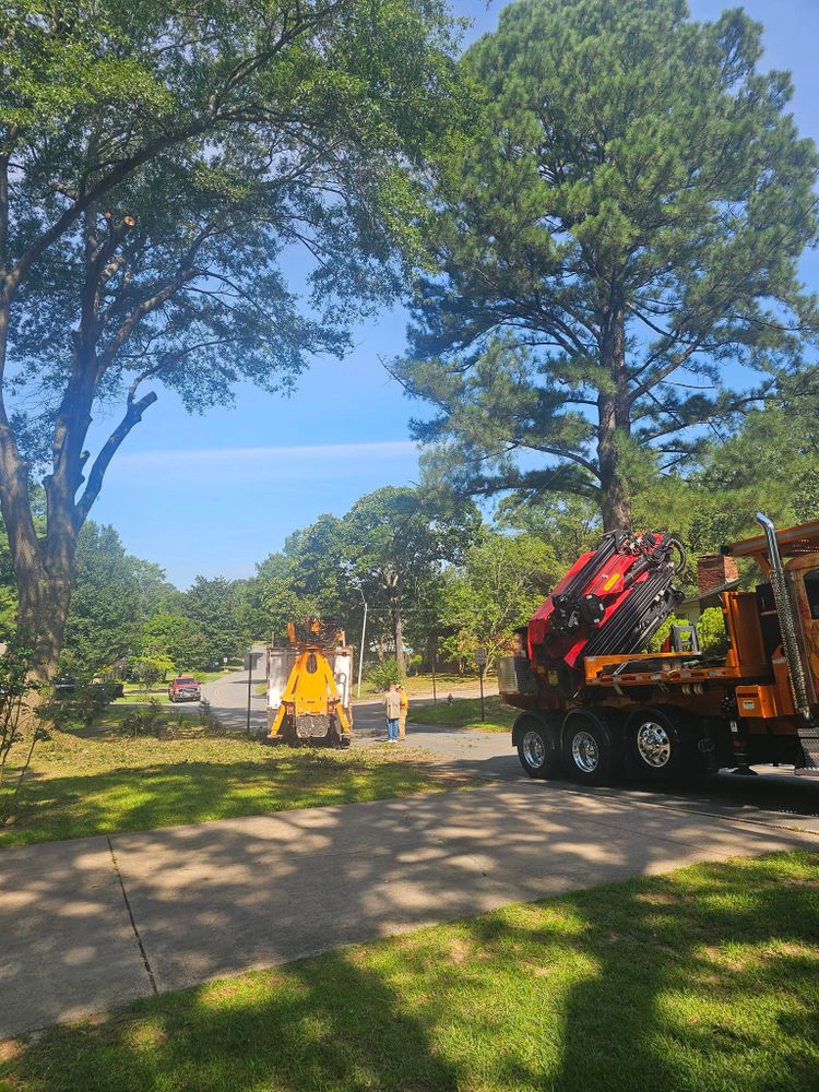Other Services for Millers Tree Service in Saline County, AR