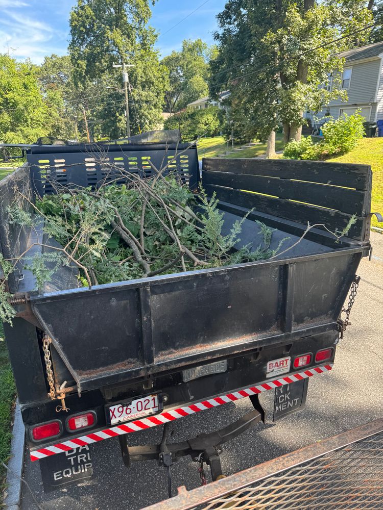 All Photos for Adams Landscaping in Springfield, MA