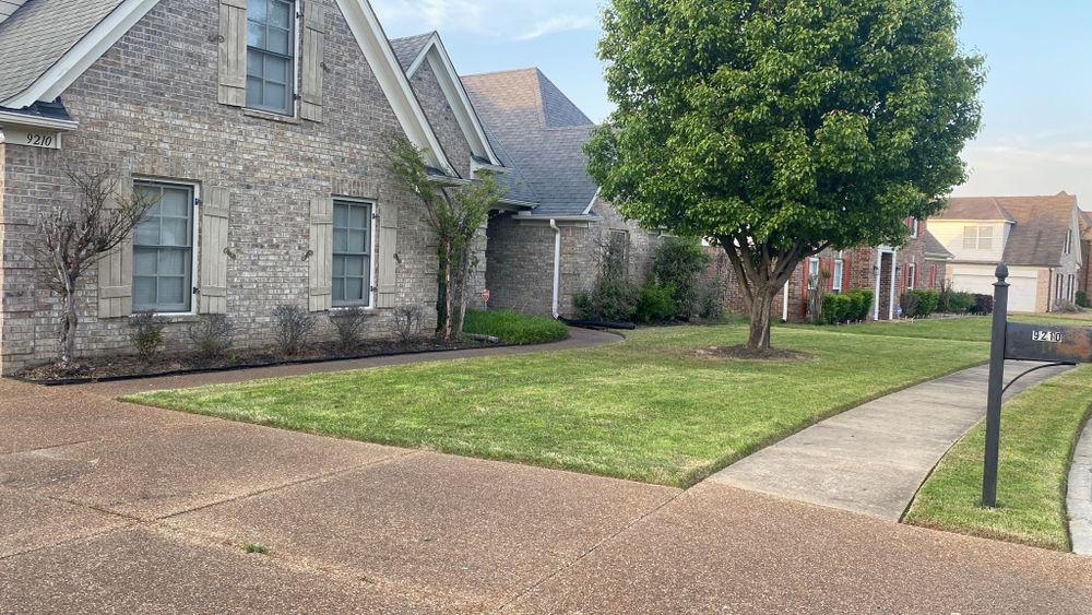 All Photos for Sanchez Z. Landscaping in Memphis, TN