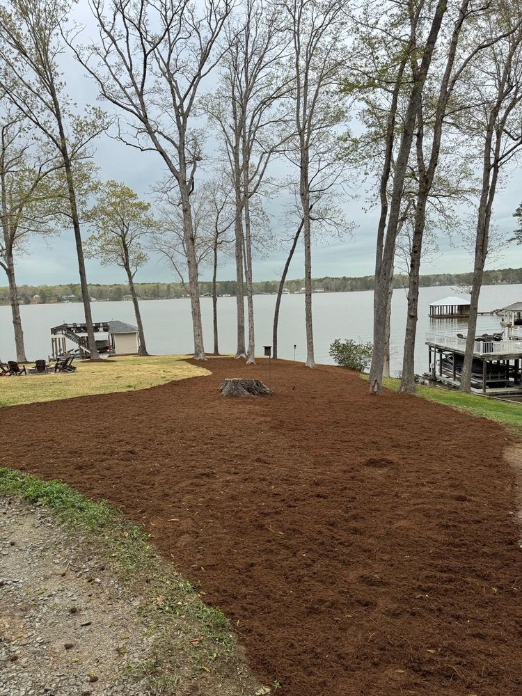 Tree Removal for Rosales Landscaping LLC in Lake Gaston, North Carolina