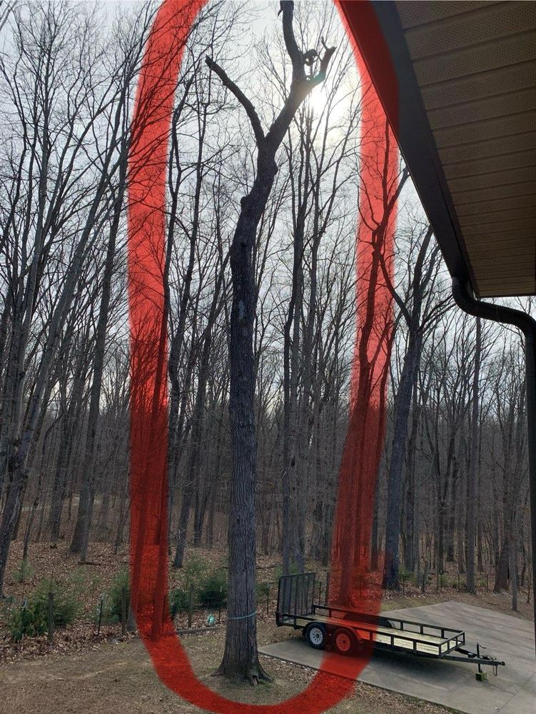 All Photos for Lucky’s Tree Removal and Landscape Services in Knoxville, TN