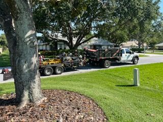 All Photos for Greener Horizons Landscape Management in Port St. Lucie, FL