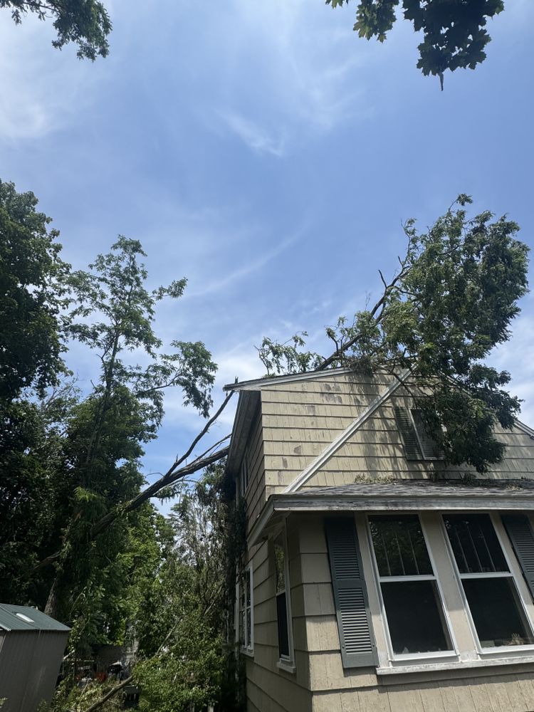 Storm Clean-up for Robery's Tree Service in West Wareham, MA
