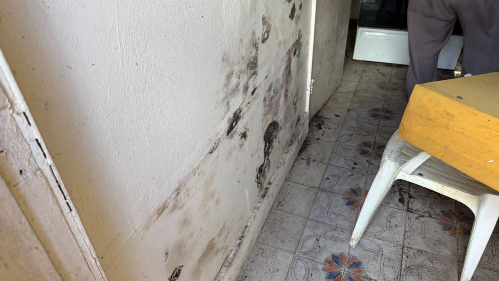 All Photos for Surplus Public Adjusters in Miami-Dade County, FL