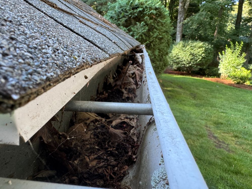 All Photos for Adams Landscaping in Springfield, MA