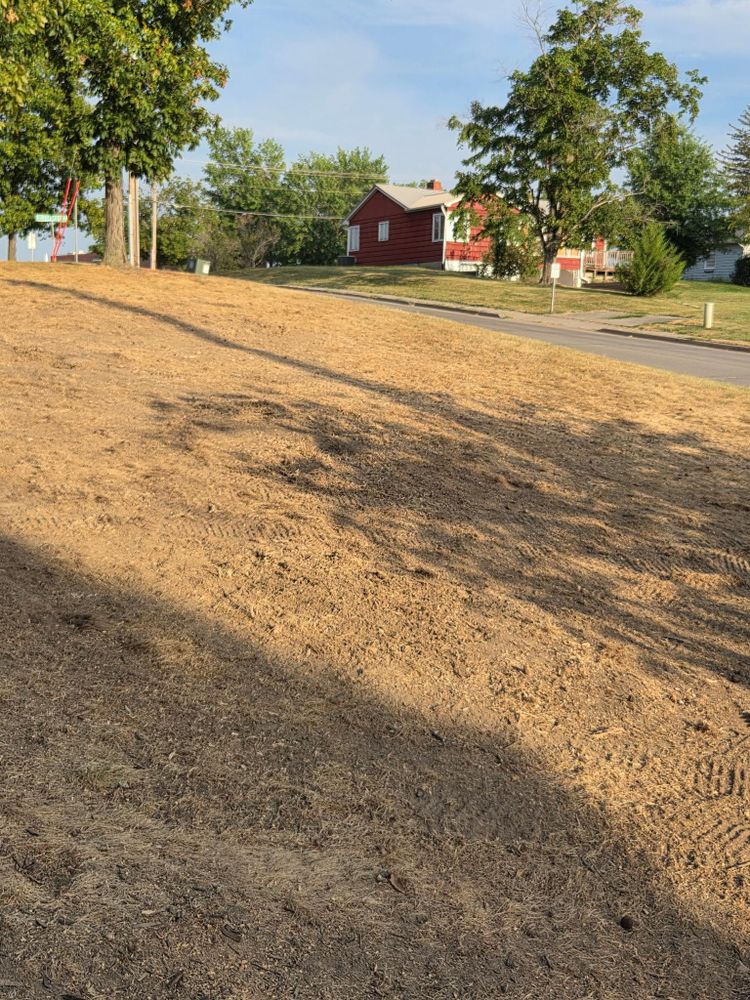 All Photos for Lawn Ranger Yard And Tree Service LLC in Ottumwa, IA