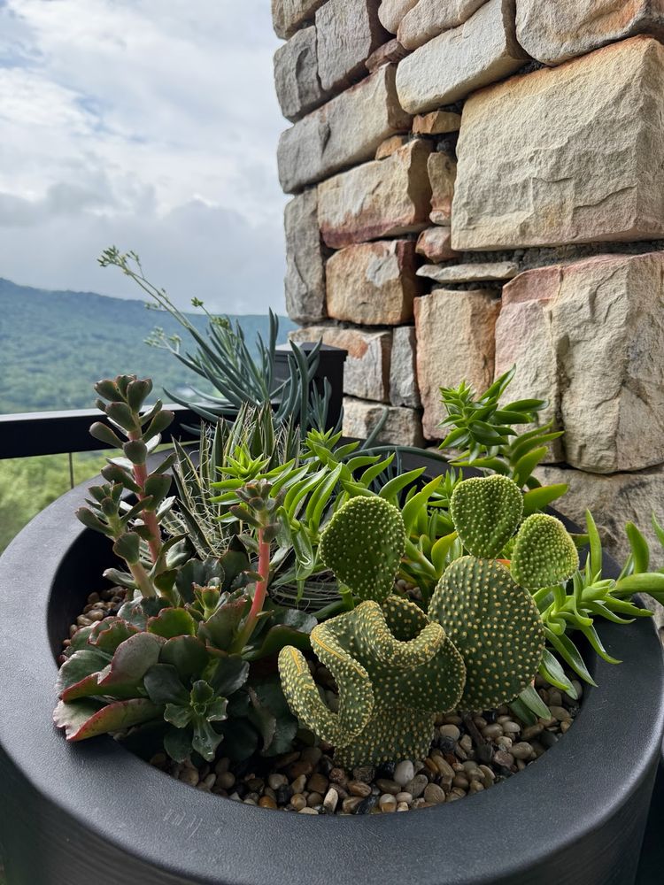 All Photos for Sustainable Lawn and Landscape in Banner Elk, NC