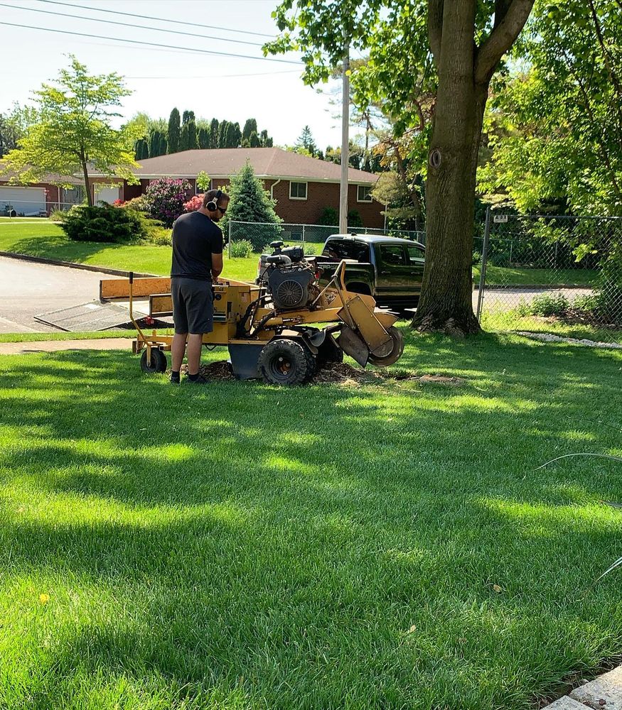 Lavish Landscaping team in Bethlehem, PA - people or person
