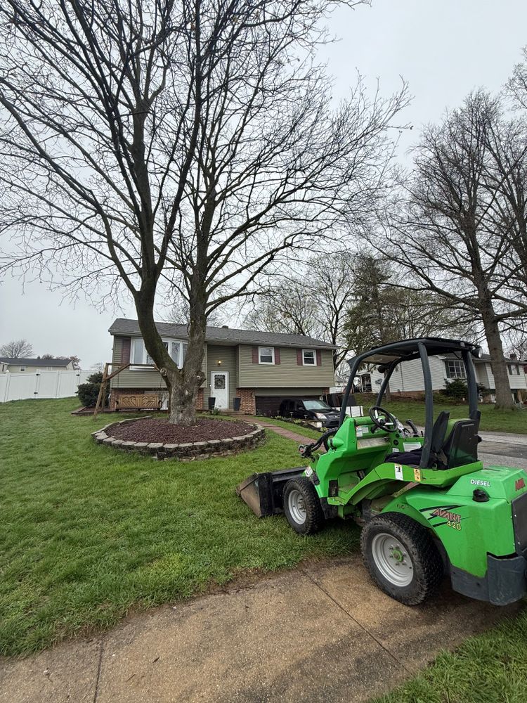 Tree Services for Wiley Landscape Design in York, PA
