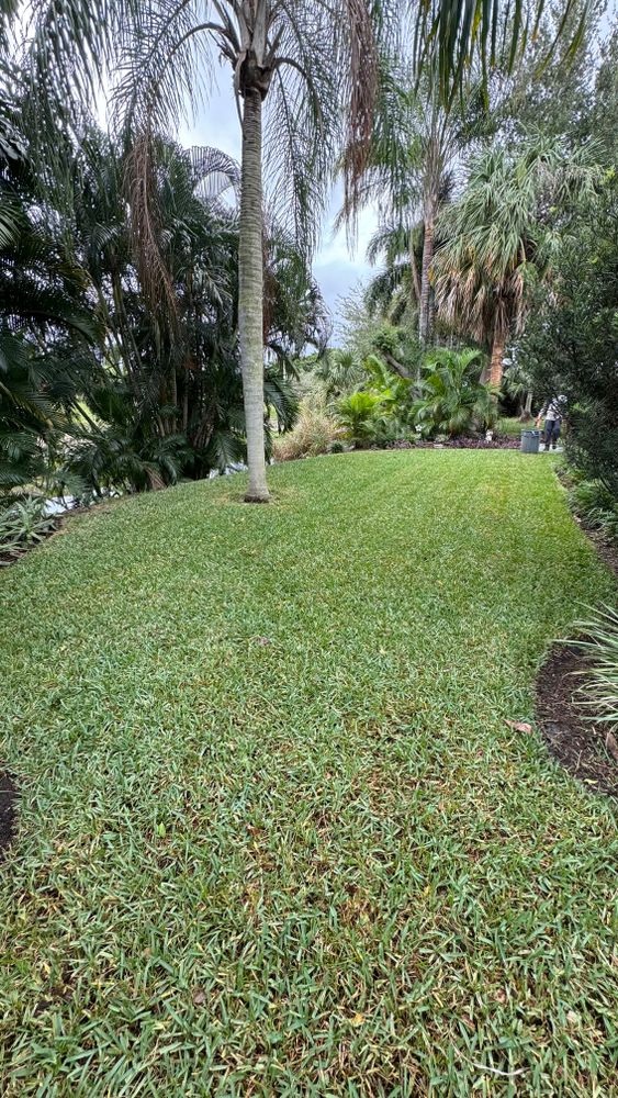 All Photos for South Florida Terra Systems in Boynton beach ,  FL