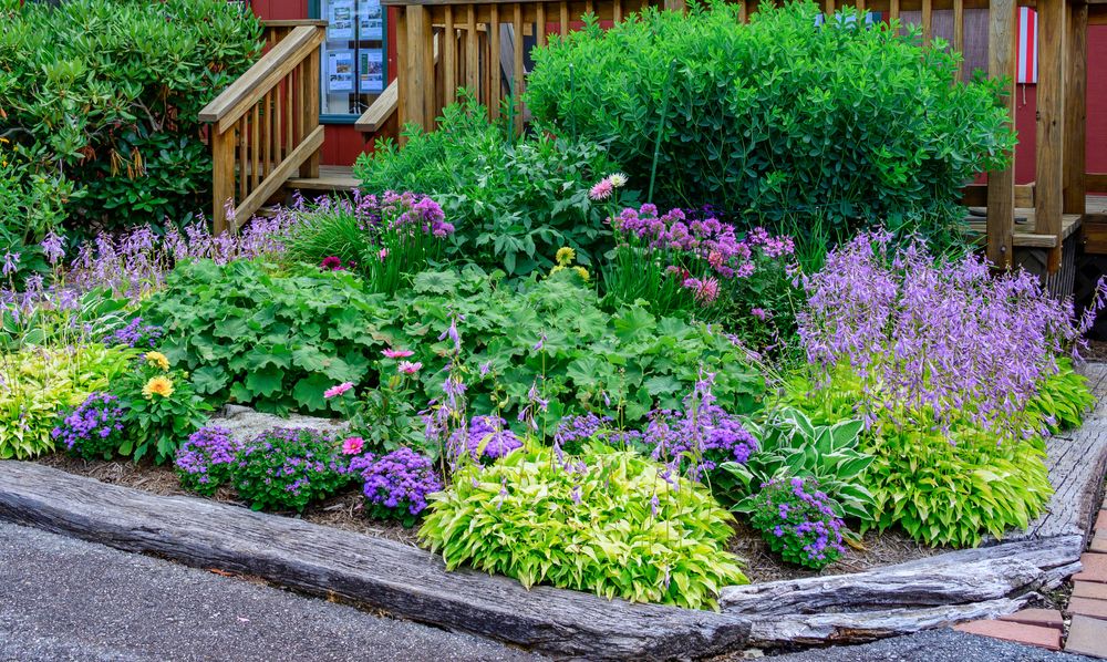 All Photos for Sustainable Lawn and Landscape in Banner Elk, NC
