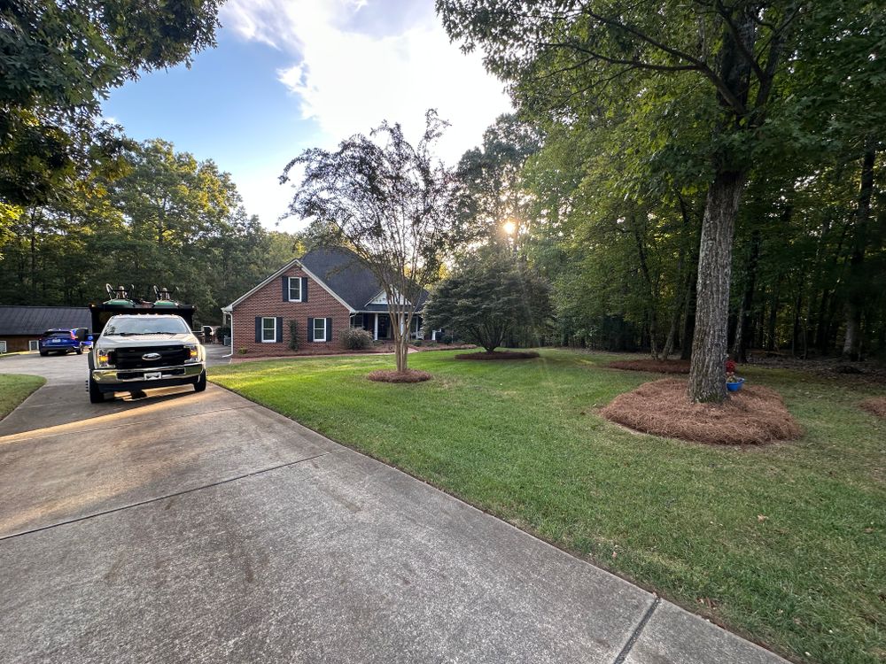 All Photos for Pecina Pine Needles in Monroe, NC