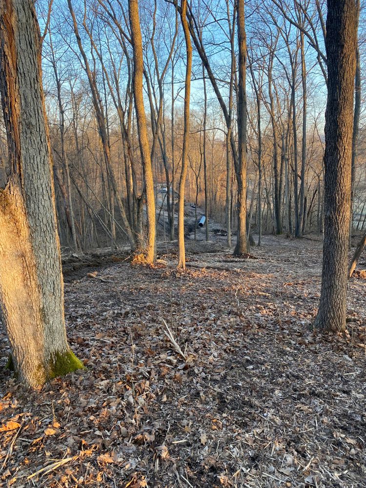 Our Forestry Mulching service efficiently clears overgrown land by turning trees and brush into mulch, promoting a healthier ecosystem while saving time and reducing environmental impact for your property. for Louisville Earth Movers in Crestwood, KY