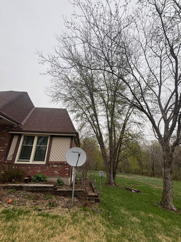 Tree Removal for Cross Family Tree Service in Kearney, MO