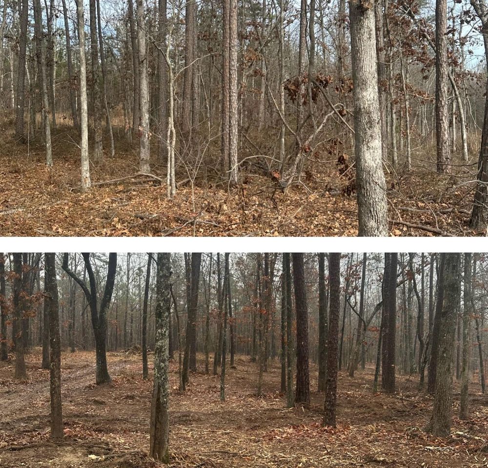 Our mulching service efficiently clears land by grinding trees and vegetation into nutrient-rich mulch, improving soil health, reducing erosion, and promoting new growth in a sustainable manner. for Thickets Land Clearing & Excavation in Hohenwald, TN