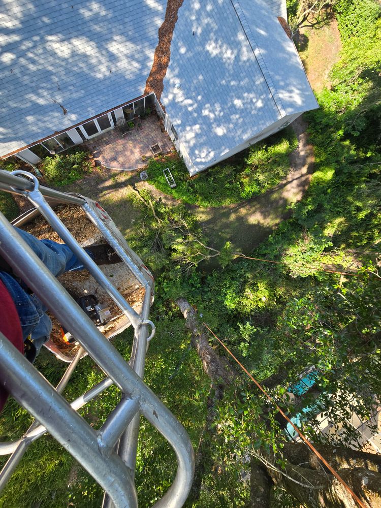 All Photos for Near Me Tree Service, Inc. in DeLand, FL