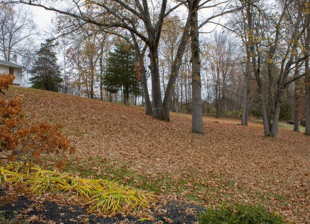 Our Fall Clean Up service helps homeowners prepare their yard for colder months by removing leaves, pruning trees, and cleaning up garden beds to ensure a tidy outdoor space during autumn. for Walton Property Services in Hyde Park , NY