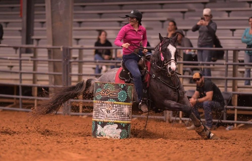 All Photos for Florida Native Equestrian Development in Central Florida, FL