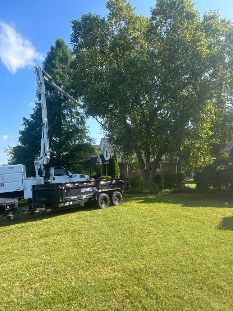 Before and after  for Optimum Tree Service And Landscaping in Bowling Green, KY