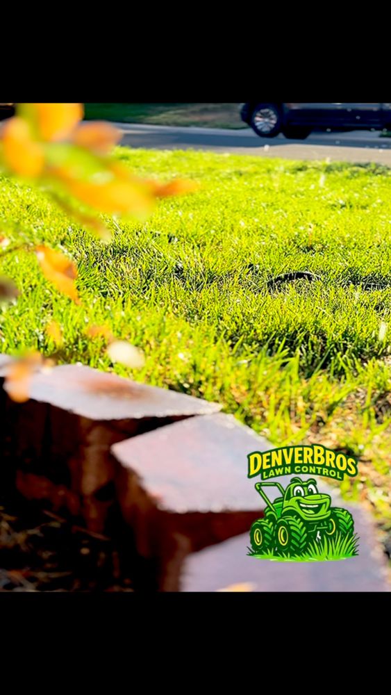 All Photos for Denver Bros Lawn Control in Denver, CO