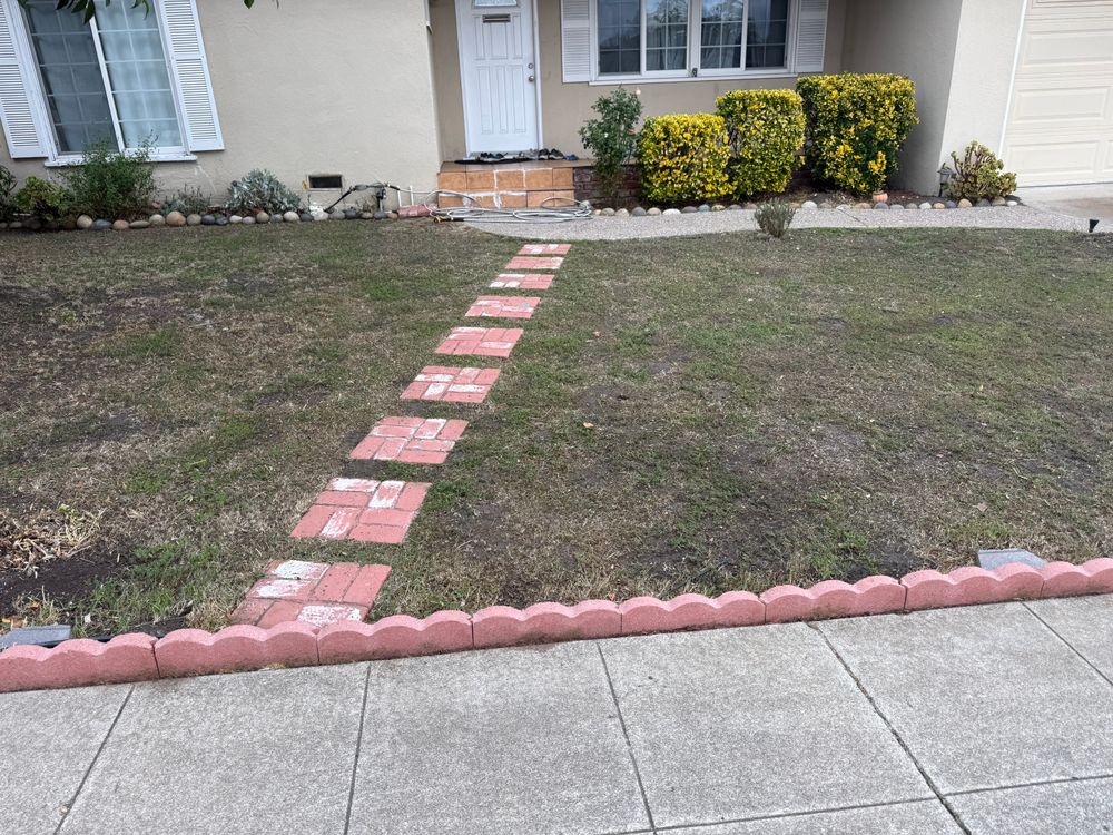 All Photos for CBA Landscaping in Hayward, CA