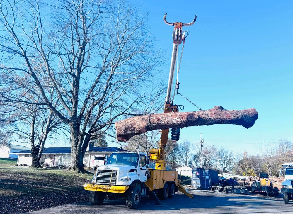 Our professional Tree Removal service ensures the safe and efficient removal of unwanted or hazardous trees, safeguarding your property while enhancing its beauty and reducing potential risks from damaged or diseased trees. for Lamb Brothers Land Clearing in Murray, KY