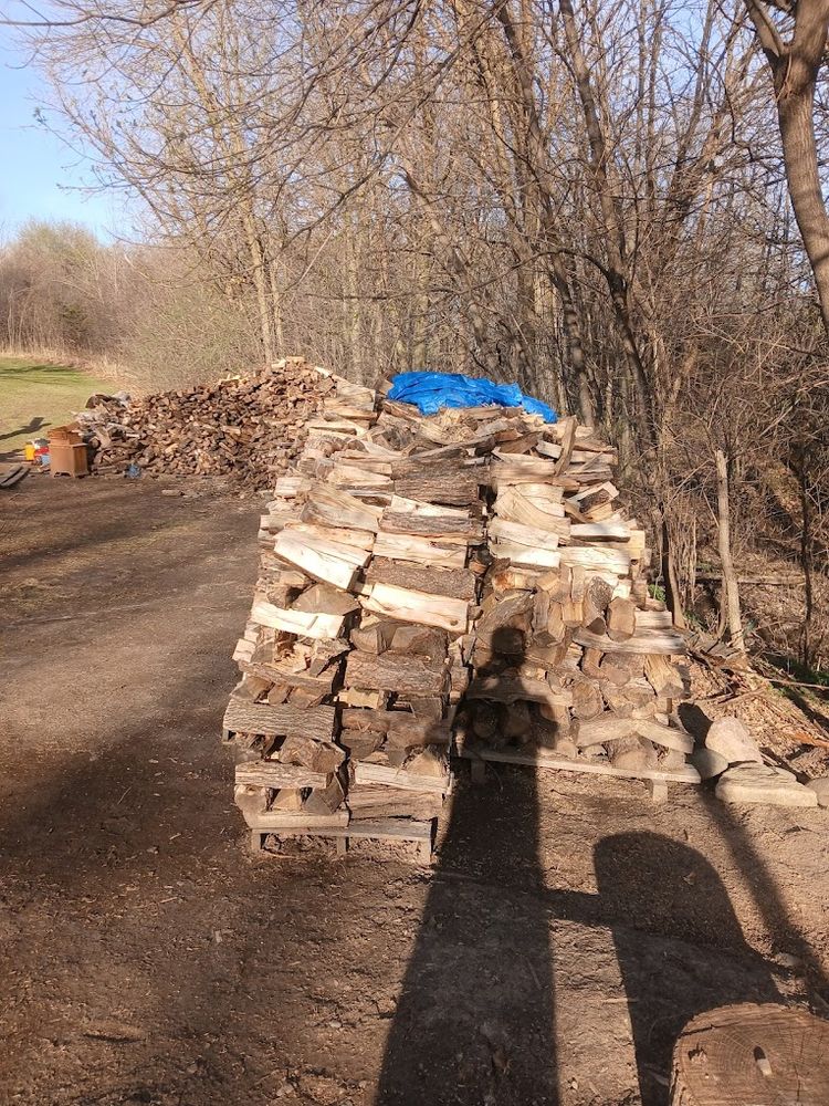 All Photos for Rockford Tree Specialist in Rockford, MN