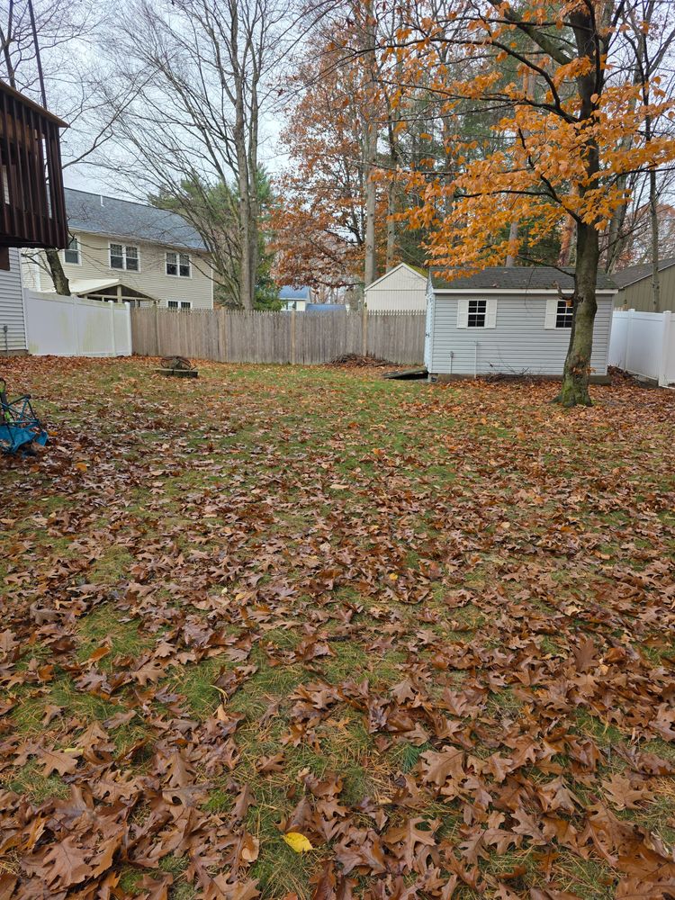 All Photos for Sweet Scapes in Ballston Spa, NY
