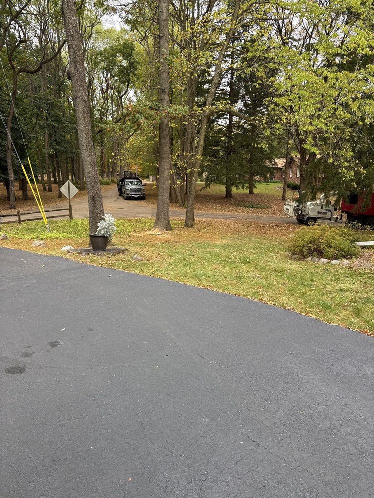 All Photos for Fransen's Tree Service  in Freeport, IL