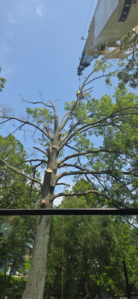 All Photos for Advanced Tree Solutions in Rockville, IN