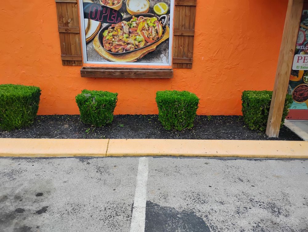 Enhance your home's curb appeal with our expert shrub trimming service, designed to shape and maintain the health of your shrubs, ensuring a neat and welcoming landscape all year round. for Mark's Lawn Care in Mount Pleasant, TN