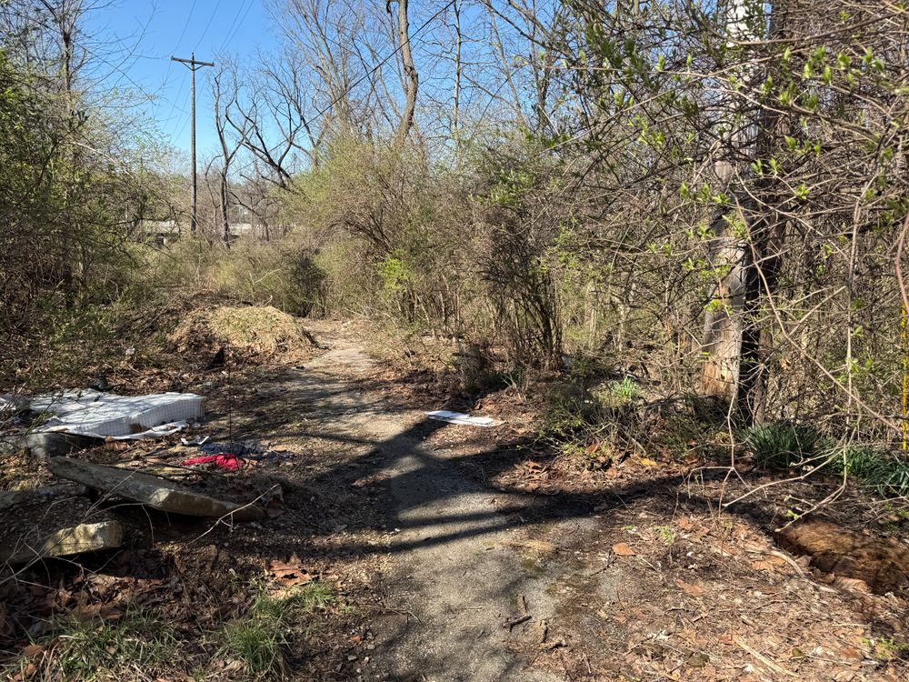 All Photos for A1 Bush Hogging & Lawn Service in London, OH