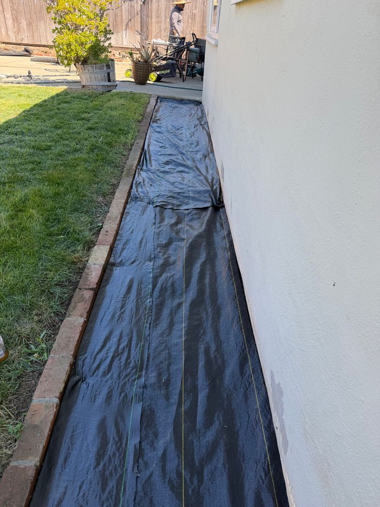 All Photos for CBA Landscaping in Hayward, CA