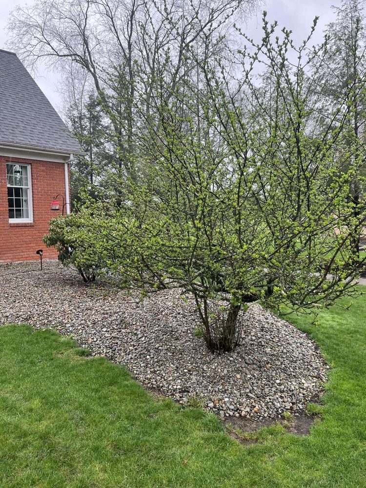 All Photos for Wilt Landscaping in Greenville, PA