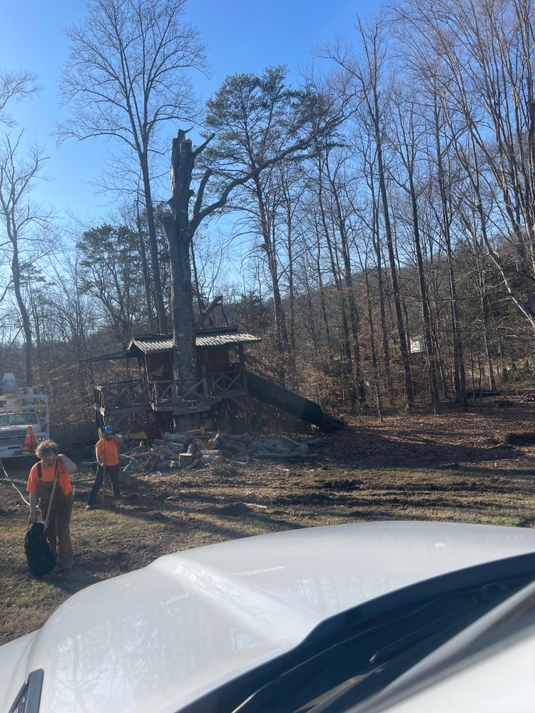 All Photos for Lucky’s Tree Removal and Landscape Services in Knoxville, TN